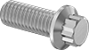 12-Point Screw