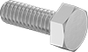 Hex Head Screw